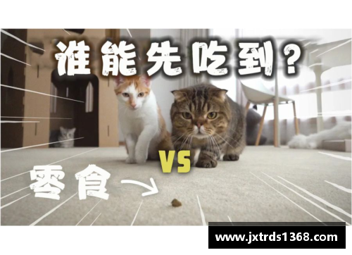 MrCat猫先生电竞官方网站非洲足球明星的健康挑战：心脏疾病的关注与预防