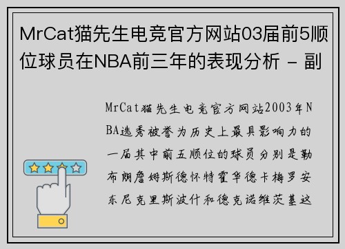 MrCat猫先生电竞官方网站03届前5顺位球员在NBA前三年的表现分析 - 副本